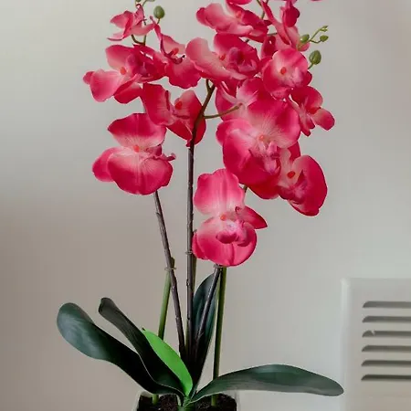 Oceania Bay Village Aparthotel Pyla