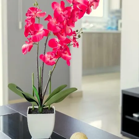 Aparthotel Oceania Bay Village